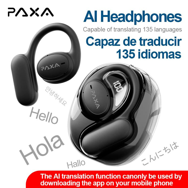 Instant Language Translator Earbuds
